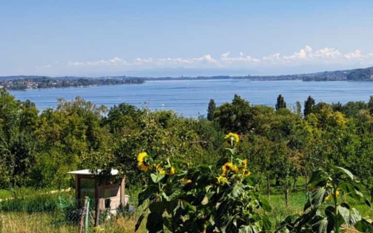 Bild: IV Radolfzell/Thomas W.